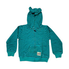 Carter's Boy Hoodie Chyan Check